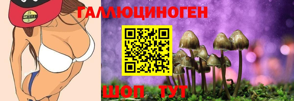 Галлюциногенные грибы мицелий Урус-Мартан