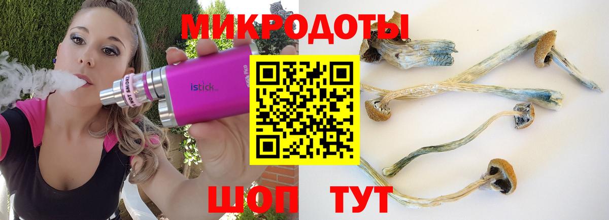 Псилоцибиновые грибы Cubensis  Вход с VPN  Урус-Мартан  Псилоцибиновые грибы мухоморы 